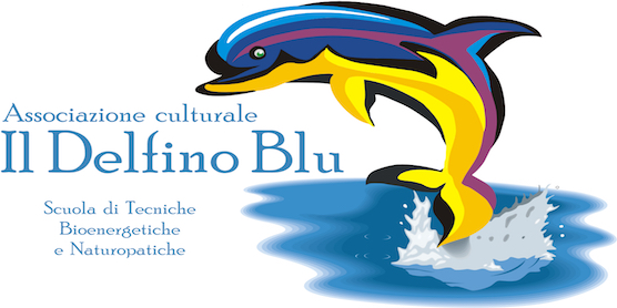 Il Delfino Blu Logo Web